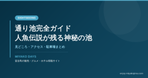通り池完全ガイド｜人魚伝説が残る神秘の池と絶景ダイビングスポット